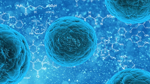 Hematopoietic Stem Cell Transplantation (HSCT)
